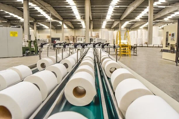 Kağıt ve Ambalaj Sektörü